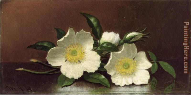 Two Cherokee Rose Blossoms on a Table painting - Martin Johnson Heade Two Cherokee Rose Blossoms on a Table art painting